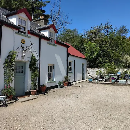 Creeve לינה וארוחת בוקר *